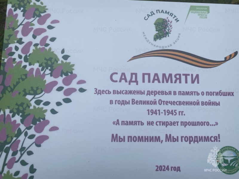 Сотрудники МЧС приняли участие в Международной акции «Сад памяти» во Владимире