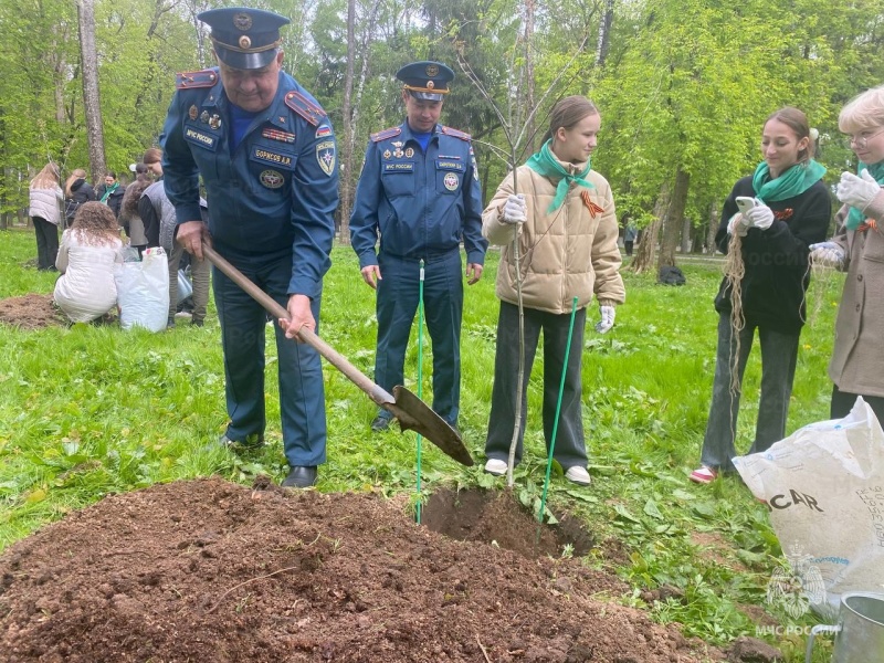 Сотрудники МЧС приняли участие в Международной акции «Сад памяти» во Владимире